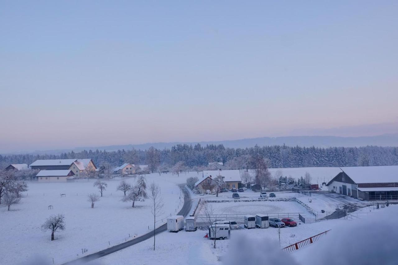 Trautesheim Ferienwohnungen Wangen im Allgäu Екстериор снимка