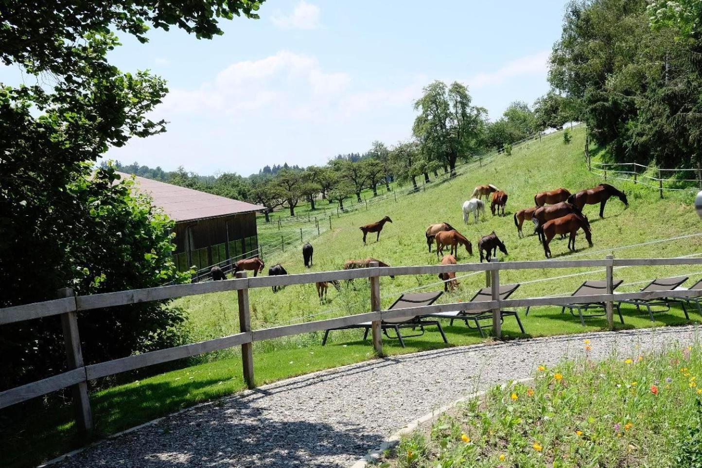 Trautesheim Ferienwohnungen Wangen im Allgäu Екстериор снимка