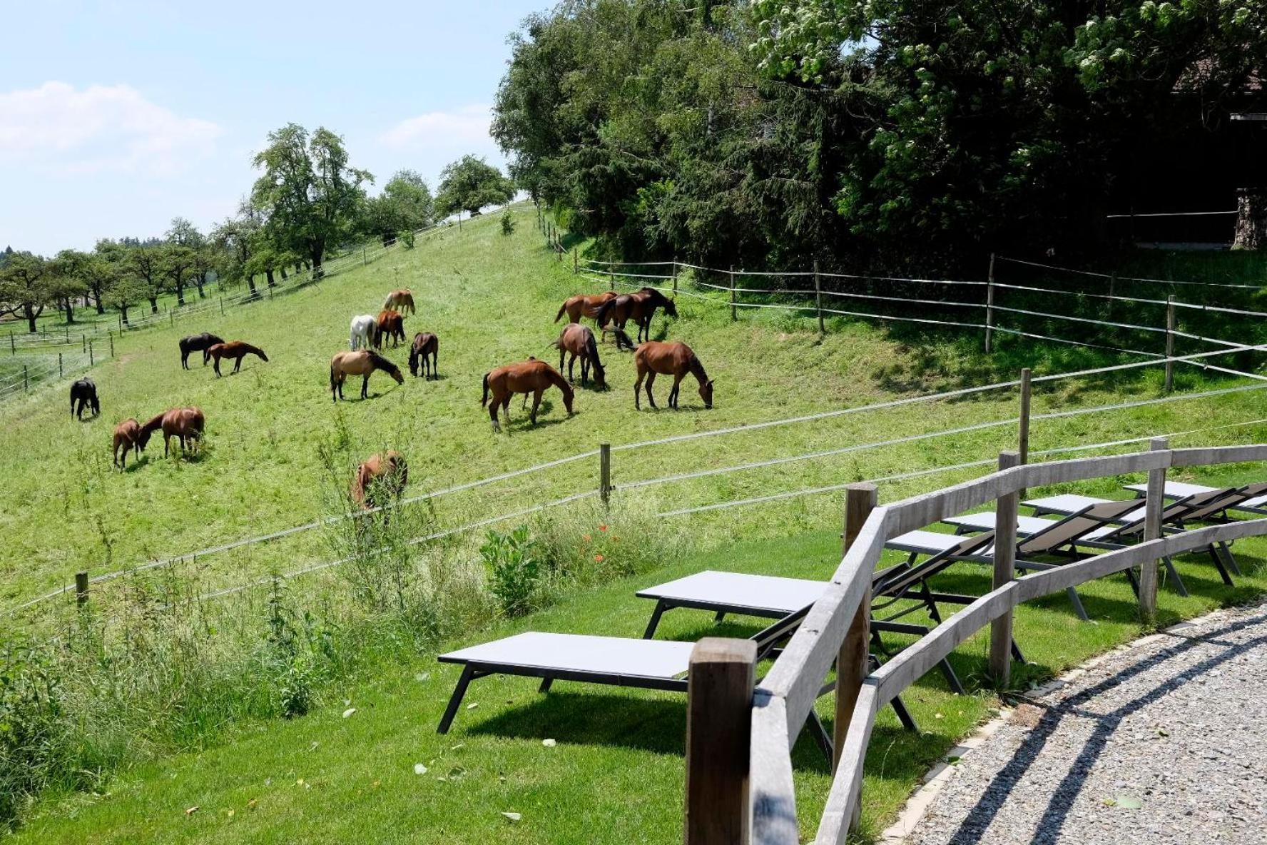 Trautesheim Ferienwohnungen Wangen im Allgäu Екстериор снимка